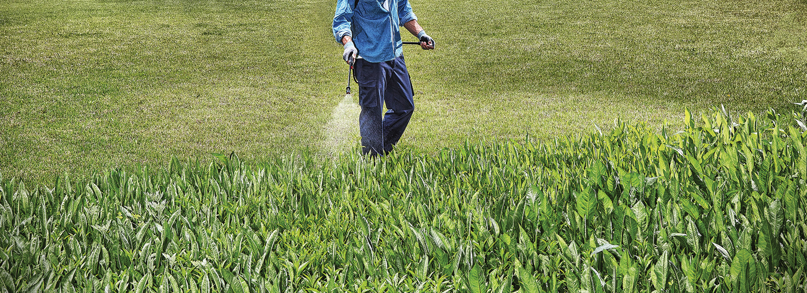 Power Sprayer
